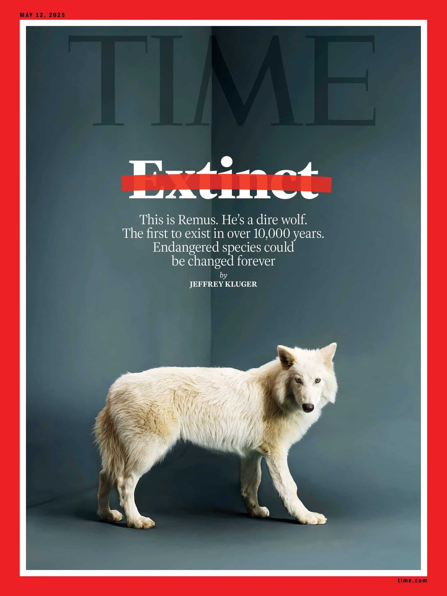 time_dire_wolf