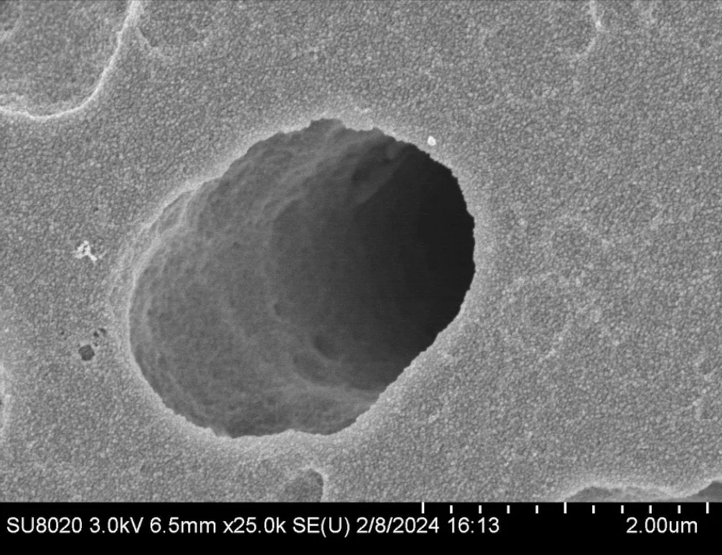 Рисунок 1. Микрофотографии поверхности мембраны, полученные на растровом электронном микроскопе. На снимке видны пора и наночастицы серебра, осажденные на мембране. Источник: Елена Завьялова.