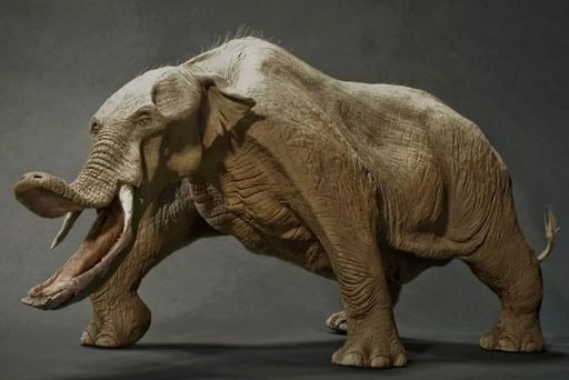 Platybelodon