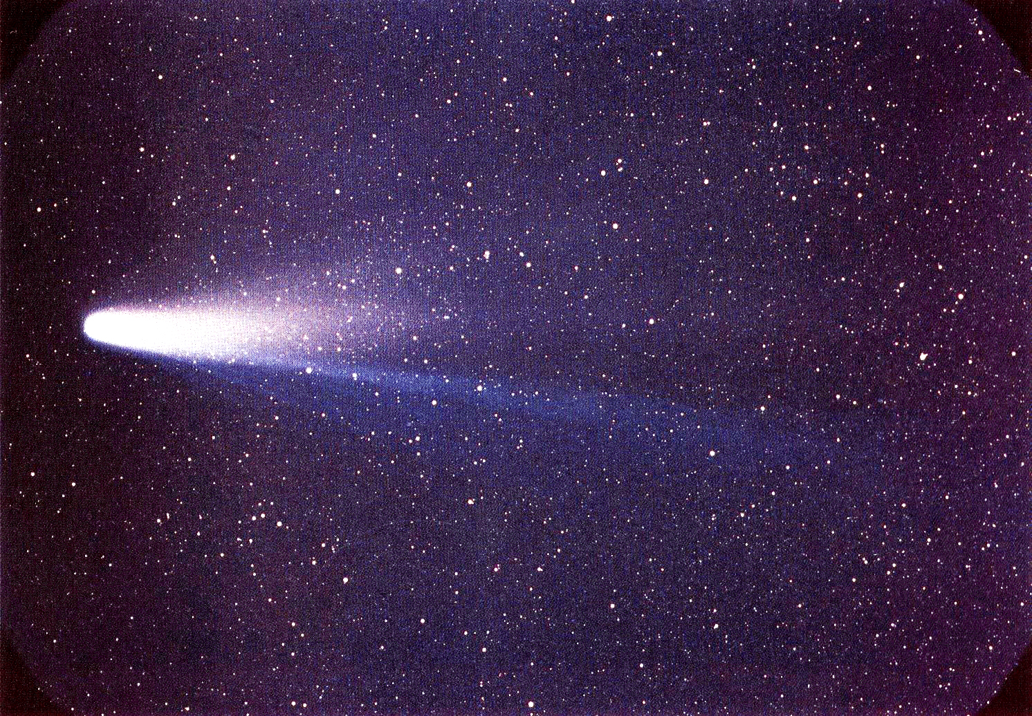 comet-halley