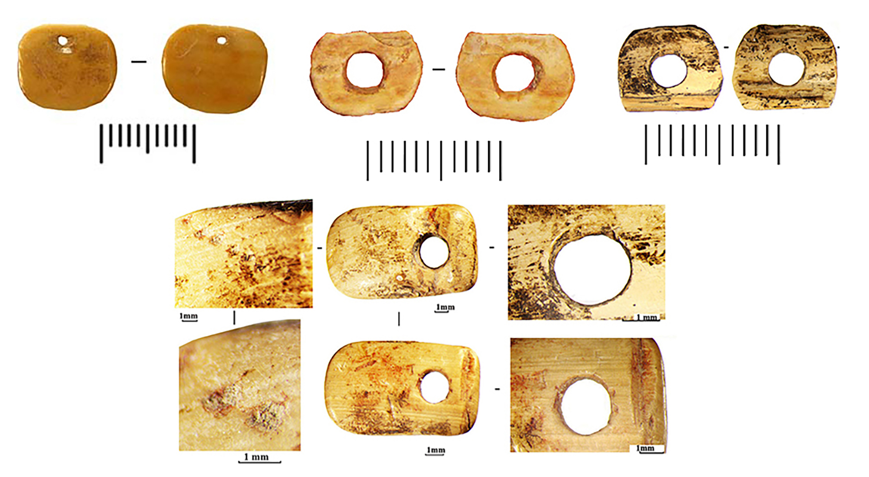 Рисунок 2. Украшения-нашивки из Мезмайской пещеры. Источник: АНО «Лаборатория доистории».