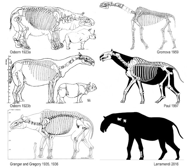 Paraceratherium