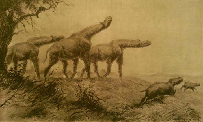 Paraceratherium