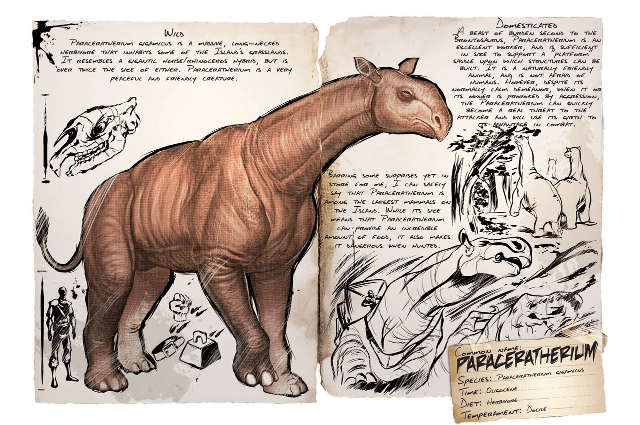 Paraceratherium