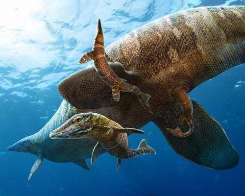 mosasaurus