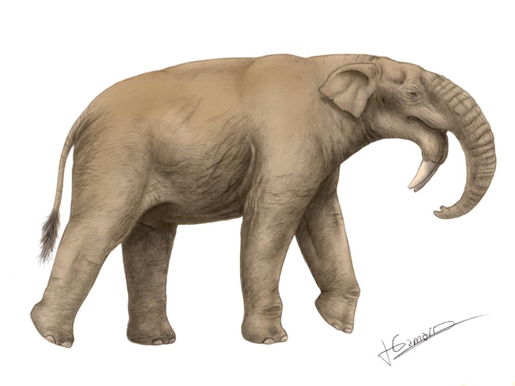 Deinotherium 